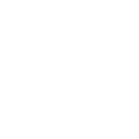 cesi debt services